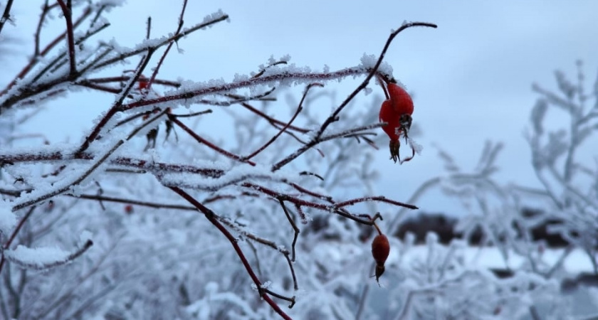    Такой зимы не было 250 лет: синоптики резко ухудшили прогноз с 19 ноября