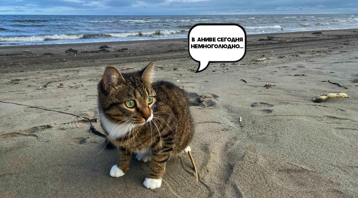 Анива, Сахалинская область