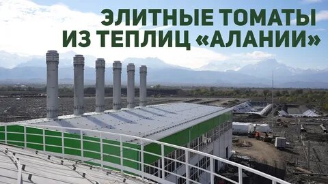    Фото: открытый источник