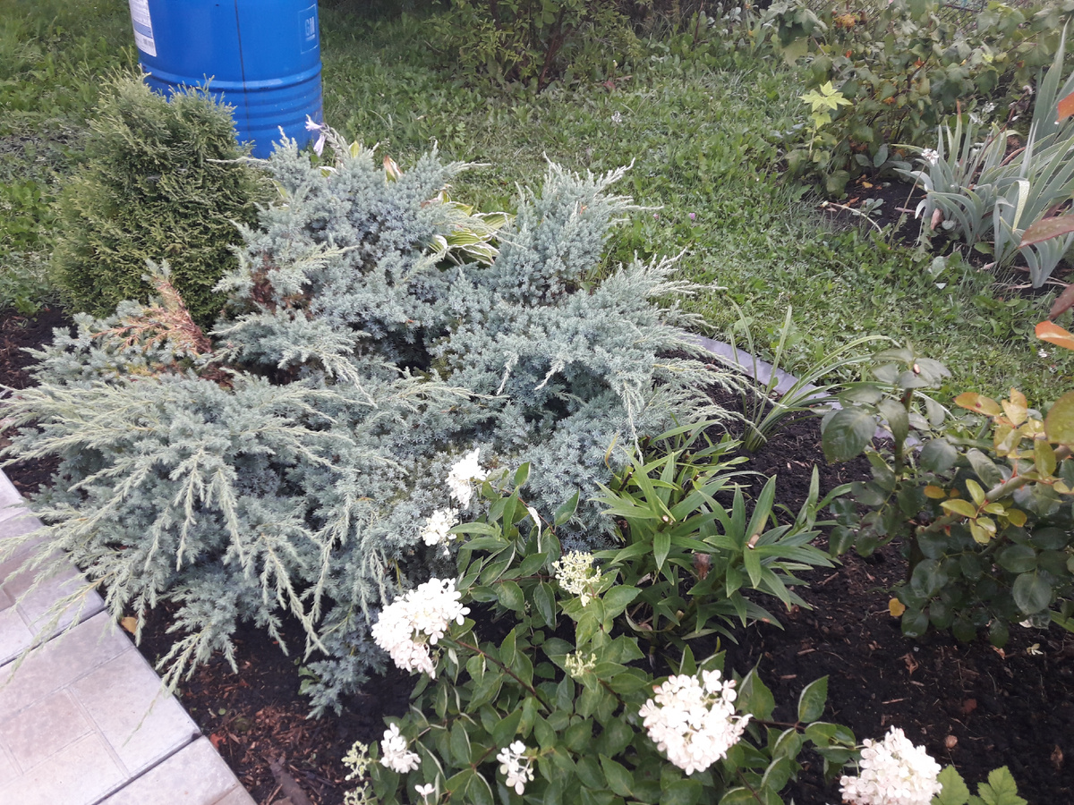 август 2020 г