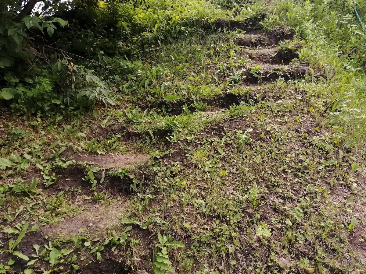 У моего брата участок на горе, и подступается он к нему по частям и по кусочкам