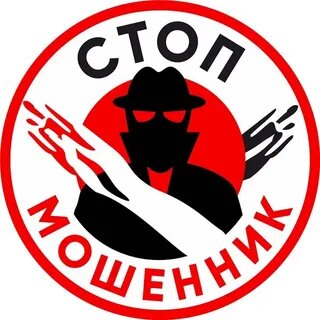    Фото: открытый источник