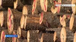    Источник фото: