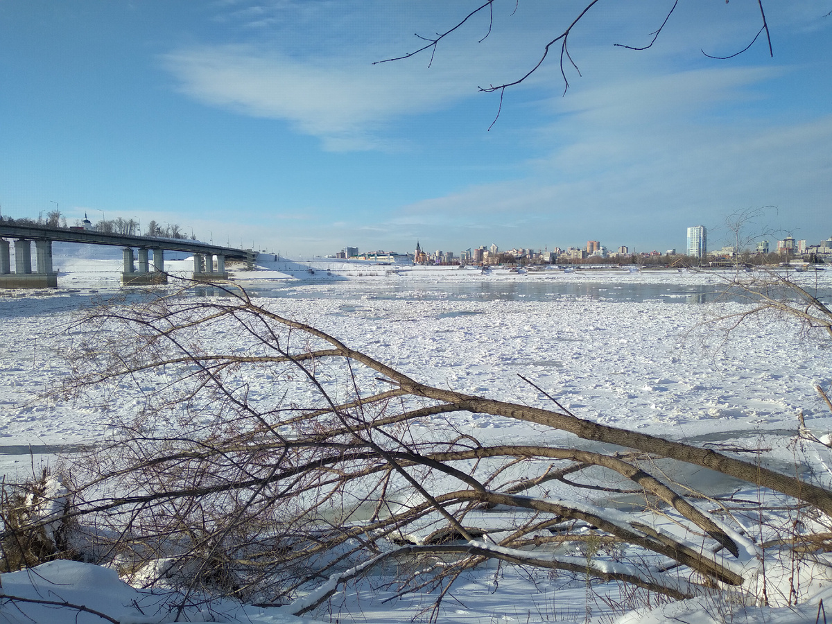 Приход белоснежной гордячки...