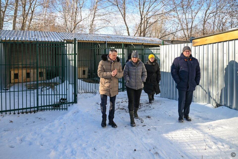    Администрация Барнаула провела выездное совещание на территории приюта "Ласка". Источник: Администрация Барнаула