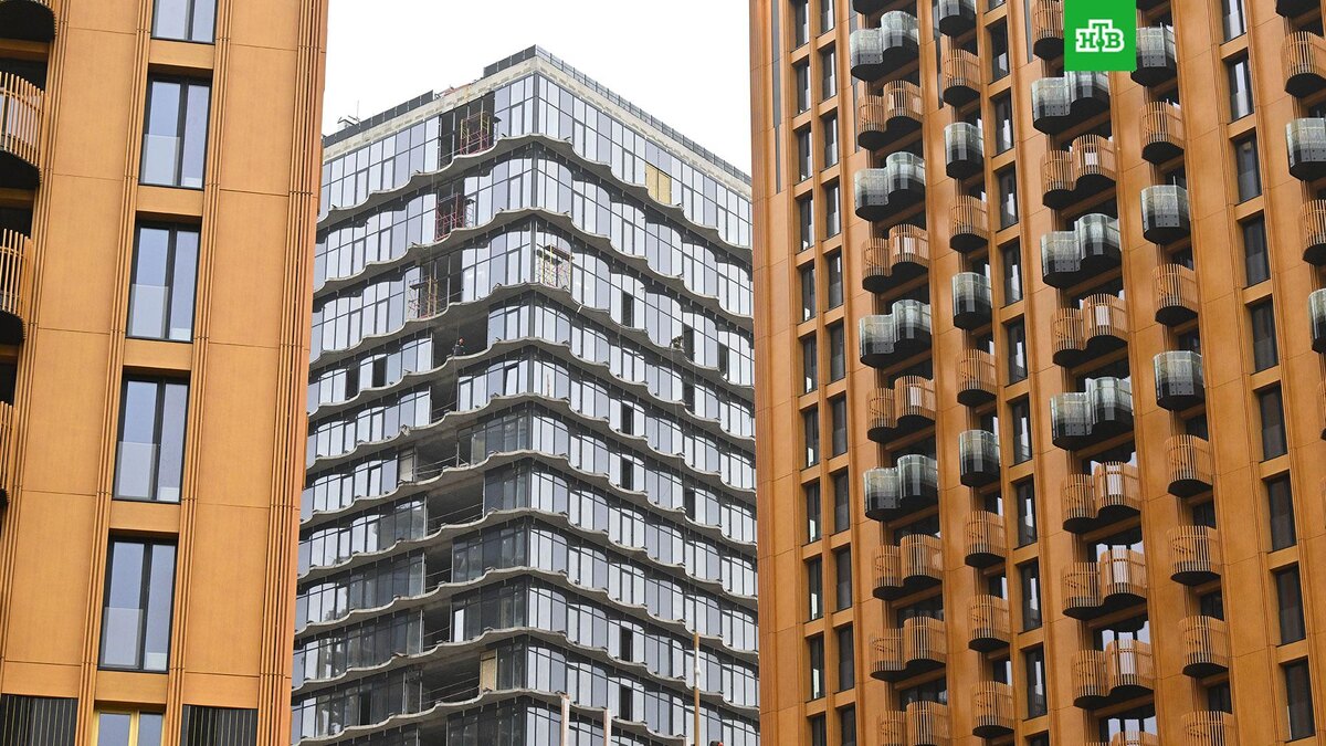    Фото: РИА Новости © 2025, Илья Питалев