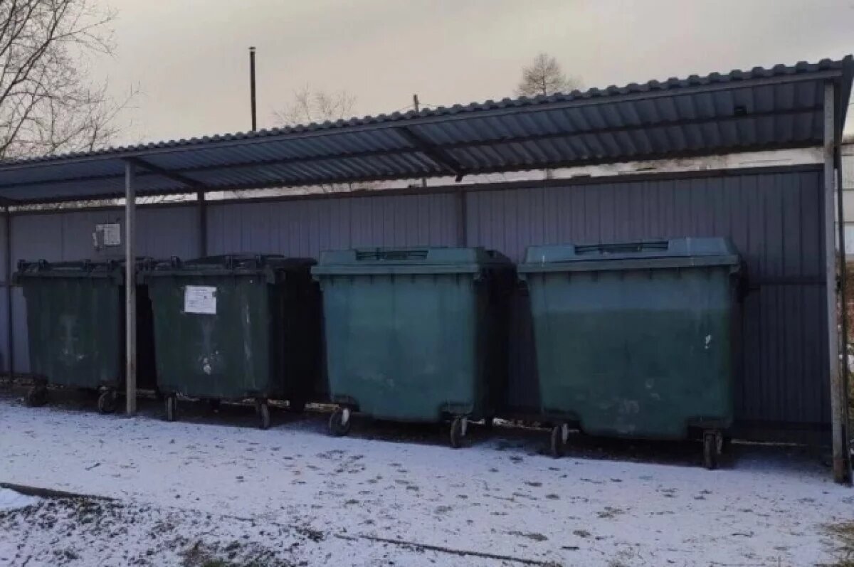    Тигиль в осаде: местный житель объявил крысам «войну» через прокуратуру