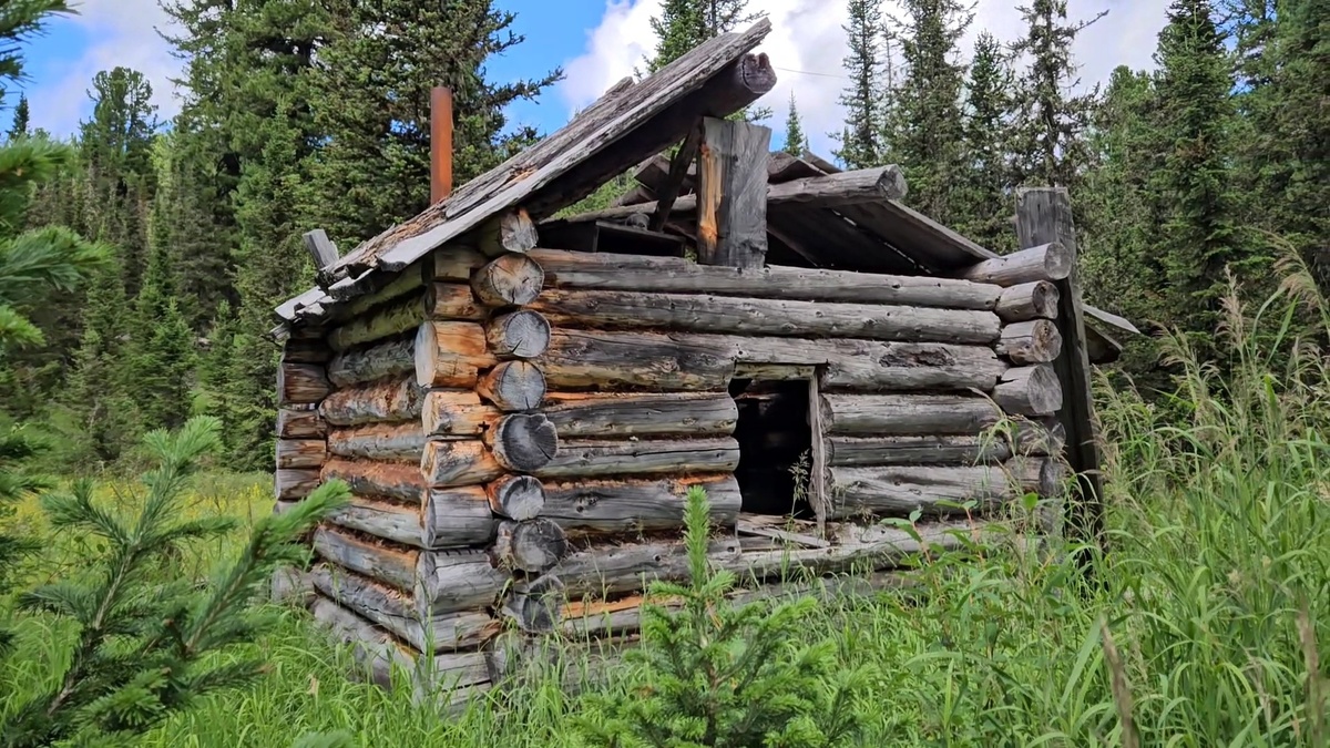 Смотрит тёмным грустным глазом.