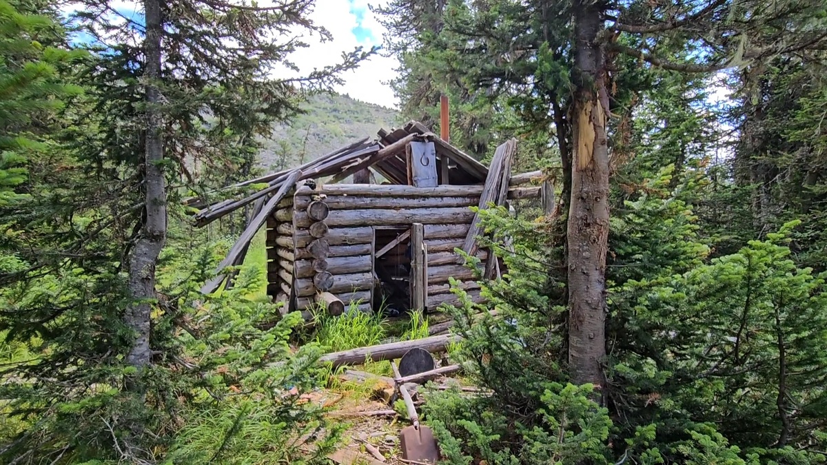 Приглашает войти.