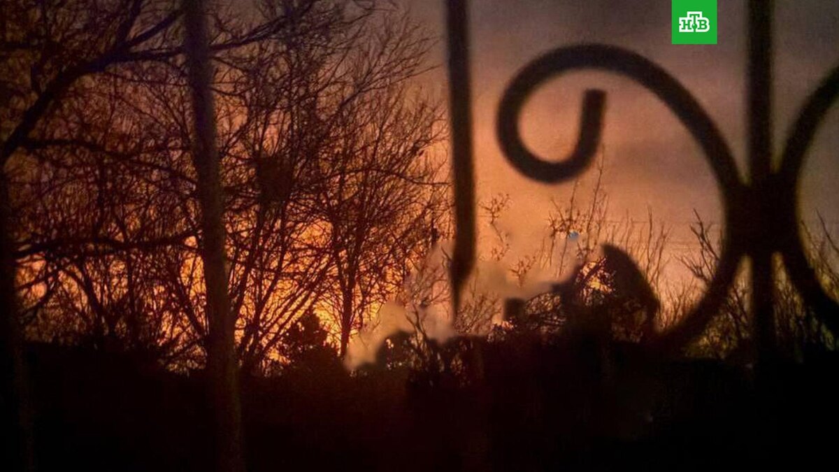    Фото: соцсети