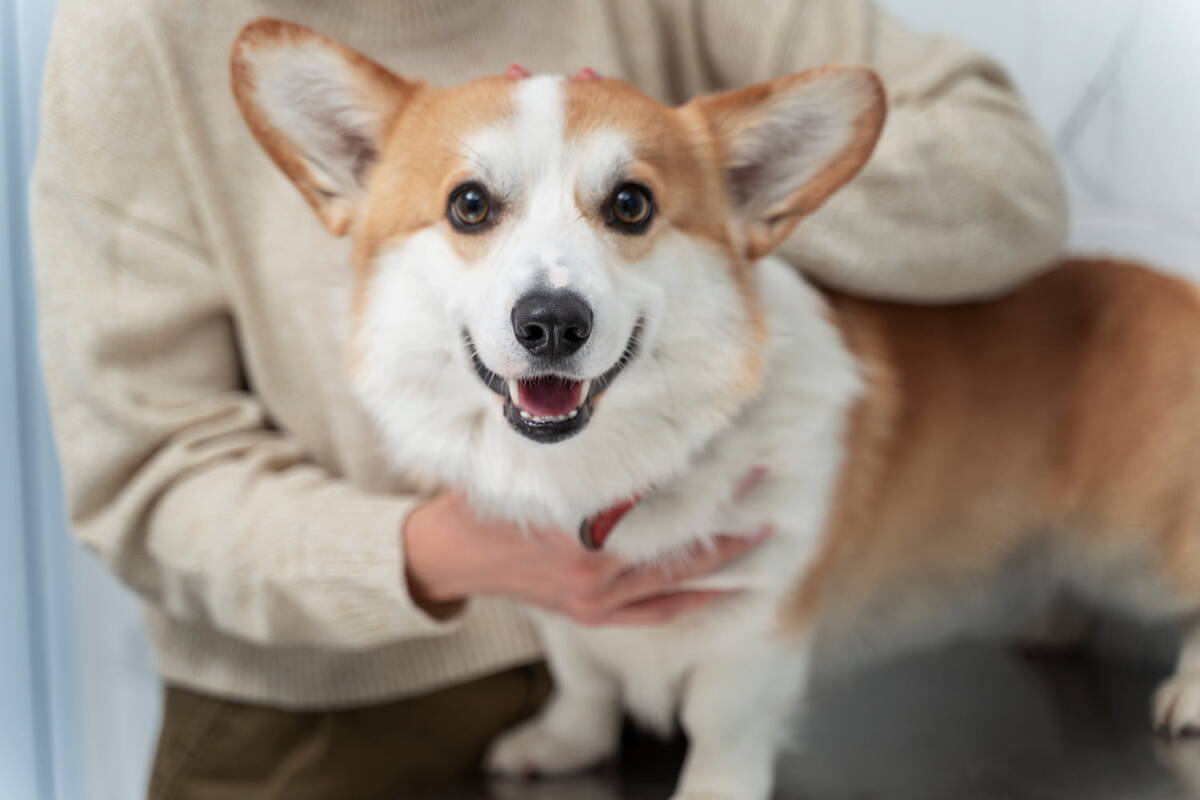   Изображение от freepik