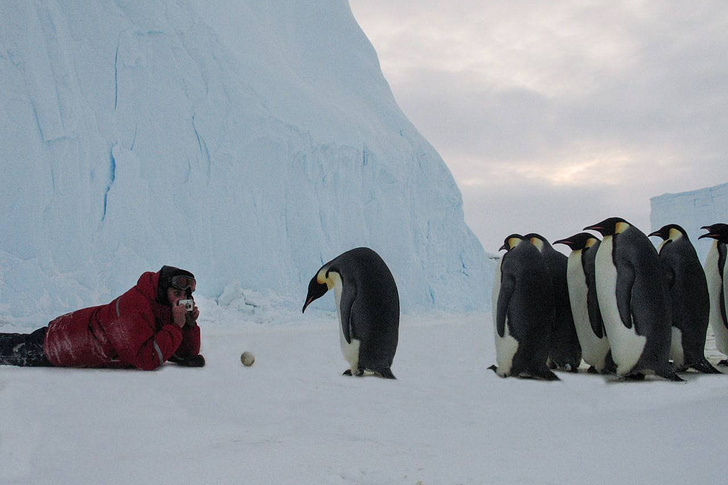    Юрий Мизин, ААНИИ