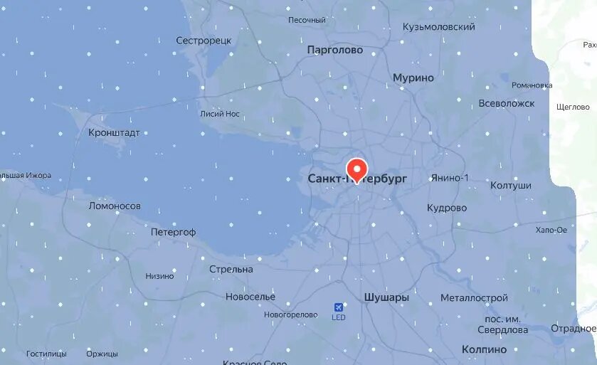    Прогноз на 9.00. Фото: скрин Яндекс Погода