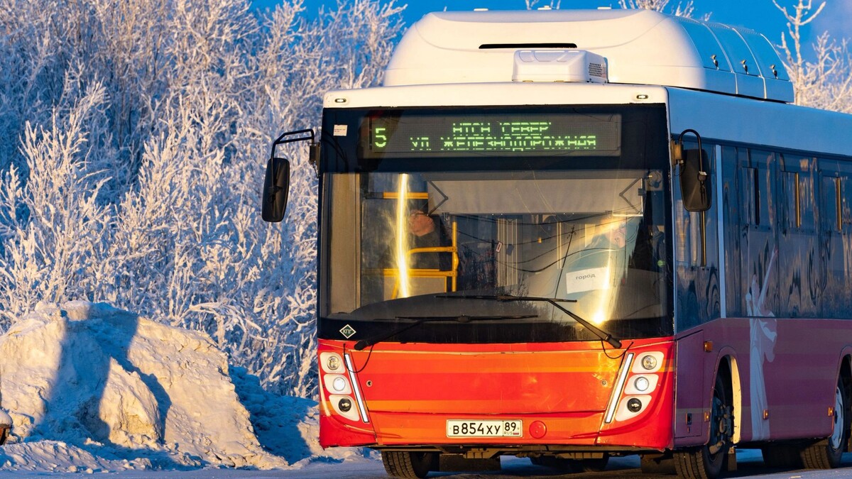    Фото: Федор Воронов/«Ямал-Медиа»