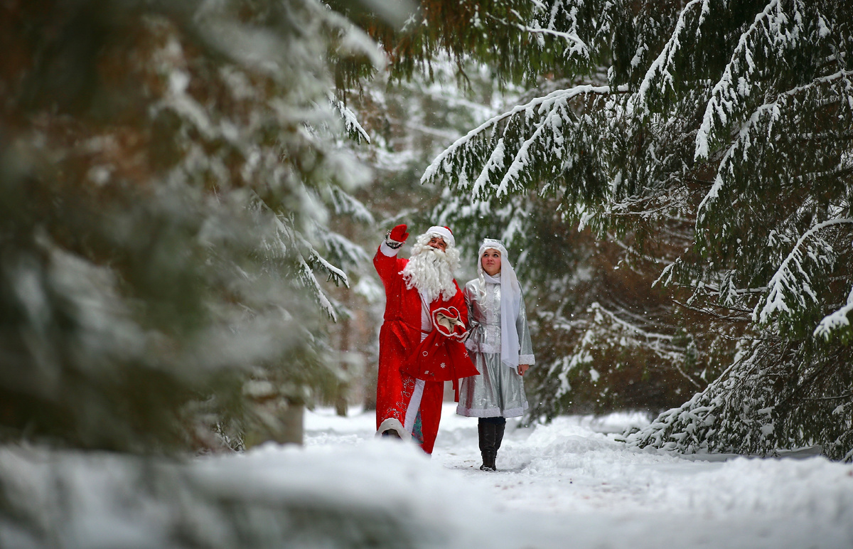     Владимир Смирнов/ТАСС