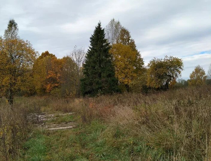 День отказа от курения, Федор Студит, 18 ноября