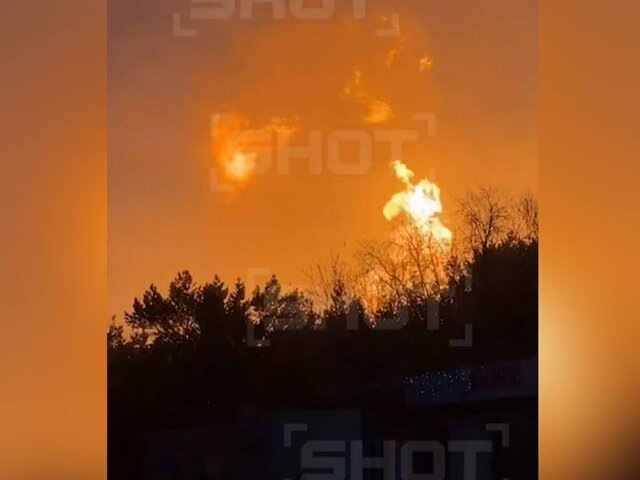    Фото: телеграм-канал SHOT