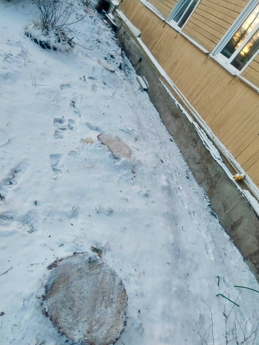    Фото: со страницы Олега Полякова