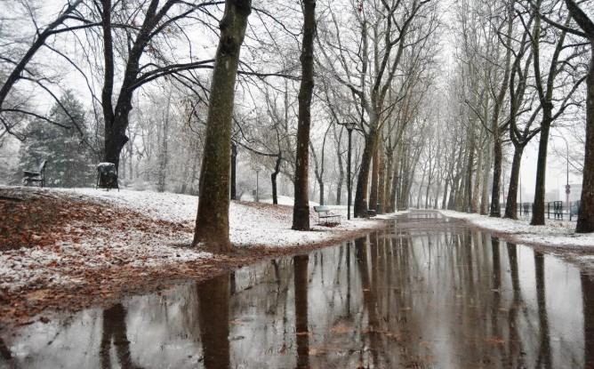     Фото: reepik.com