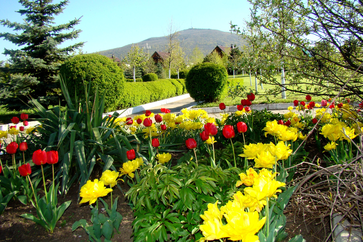 "Праздниячный наряд".