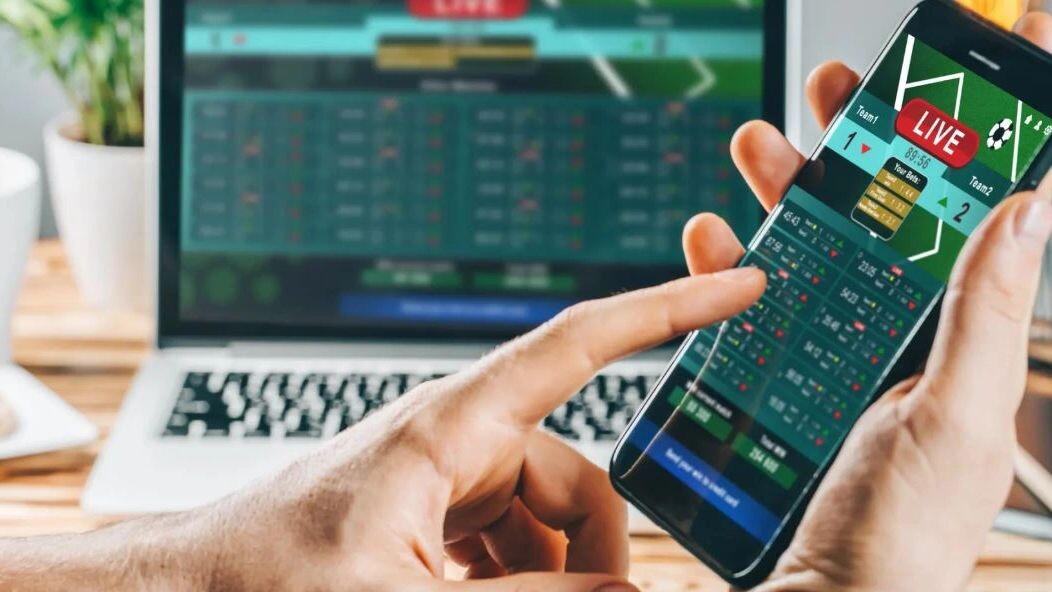    Фото: Wpadington/Shutterstock/Fotodom