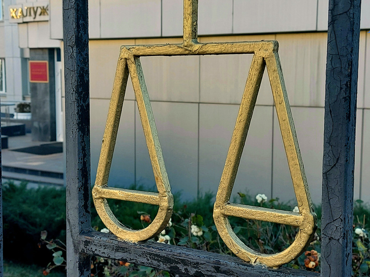     Фото: "МК в Калуге