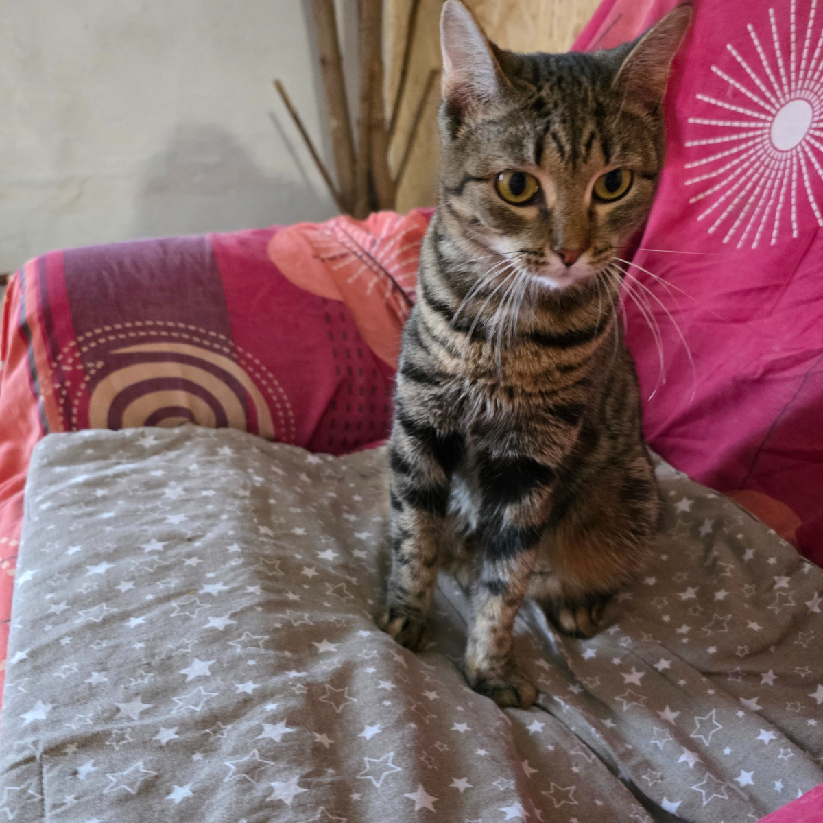 опытная мама слушает с легким скептицизмом