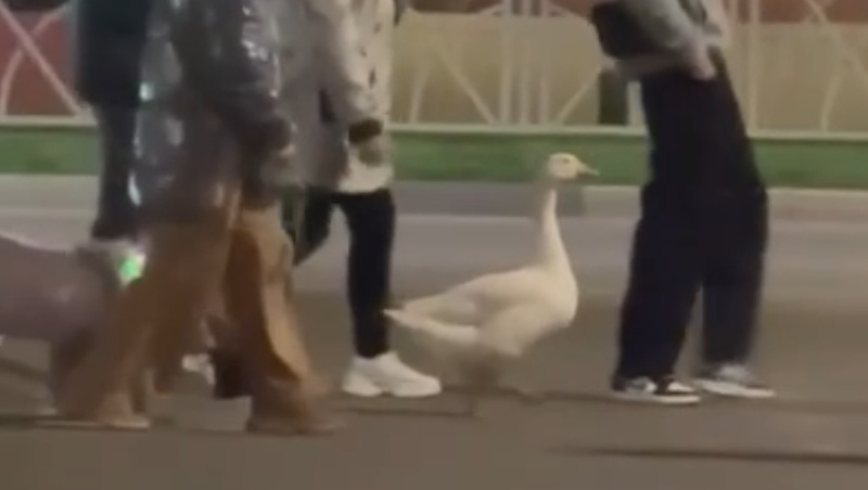      Фото: соцсети Михаила Миненкова