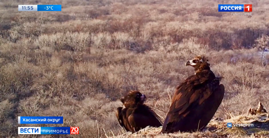    Источник фото: