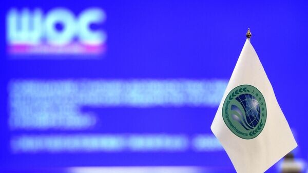    © Sputnik / Кирилл Каллиников