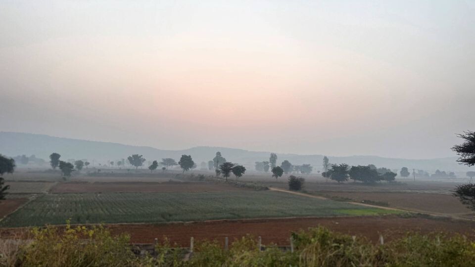    Полина Диброва находится в Индии. Источник: t.me/dibrovapolina