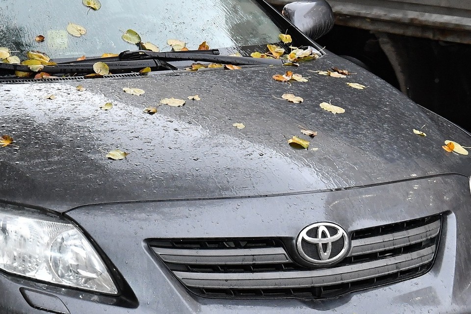    Суд признал городским имуществом иномарку, брошенную у дома в Новосибирске. Иван МАКЕЕВ