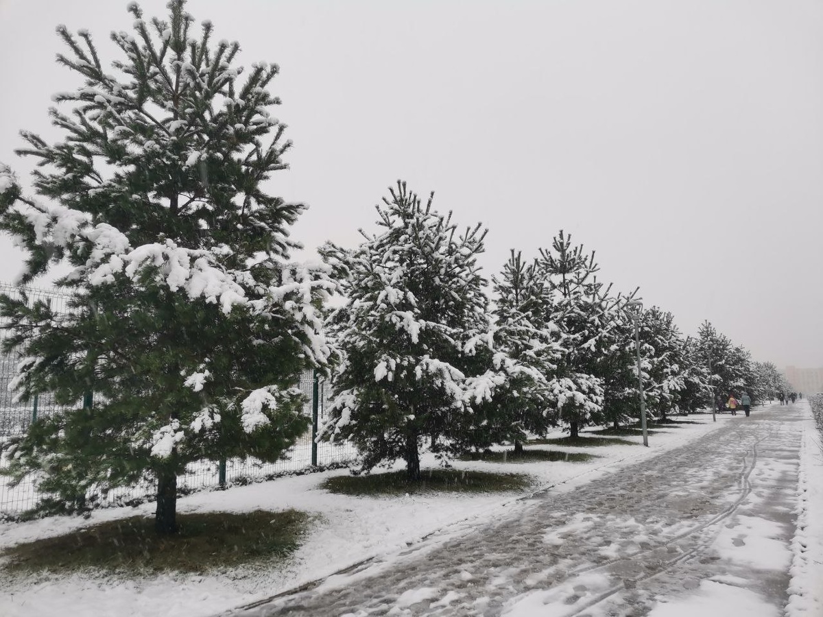 Пошёл у нас тут намедни снег первый