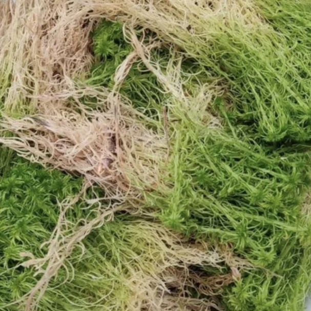 Открытые источники. 