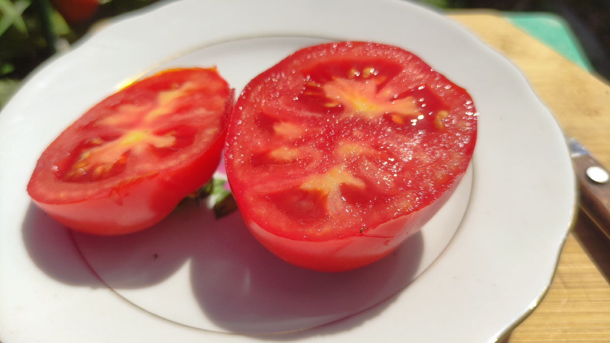 Томат Санька в разрезе