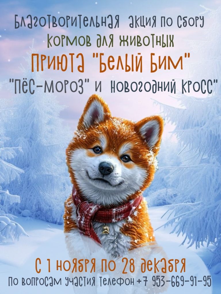    Фото: Благотворительный Фонд "Белый Бим" г. Кострома