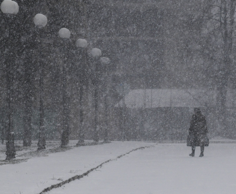    Фото: Царьград