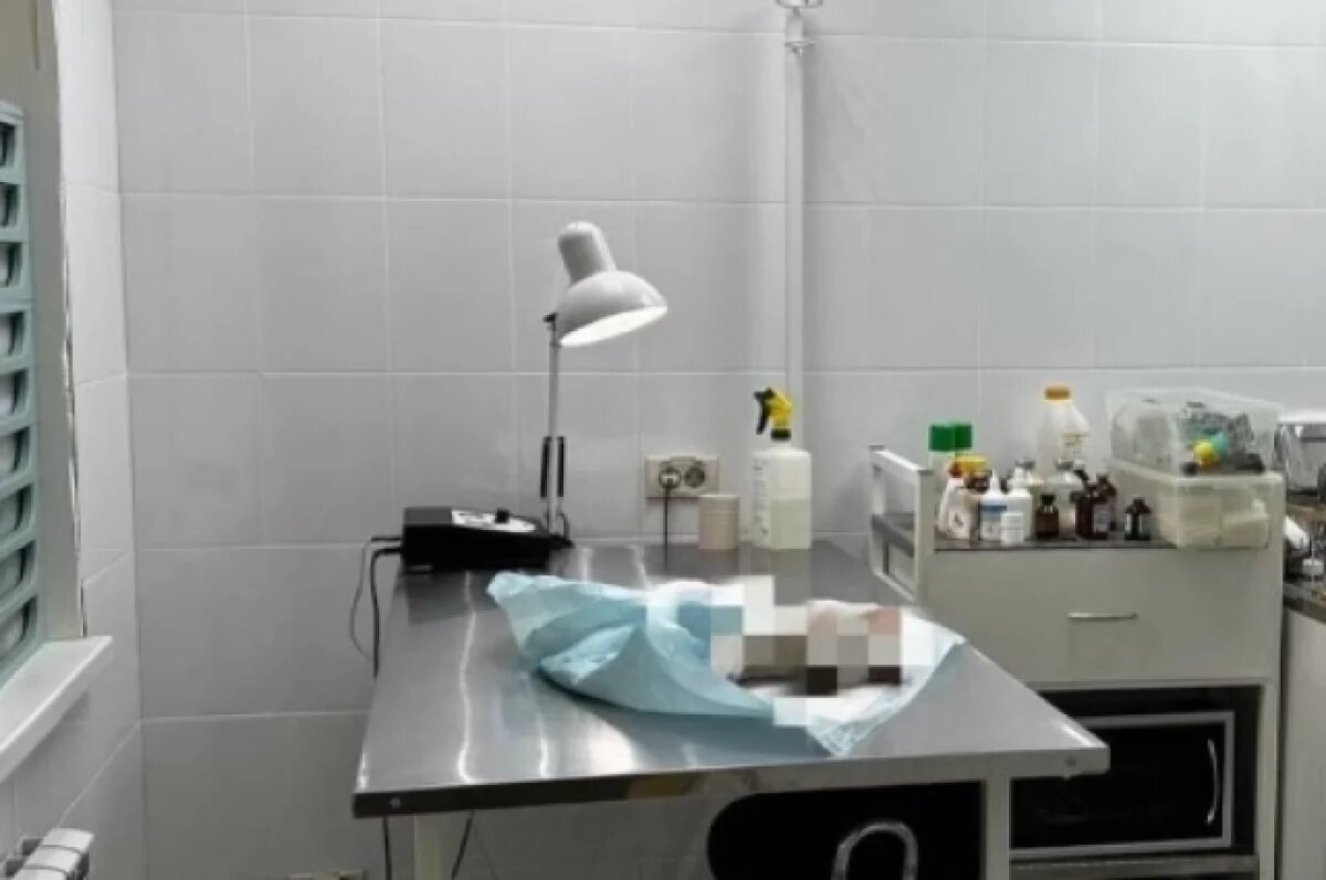    Еманжелинец ответит в суде за убийство котёнка на глазах у детей