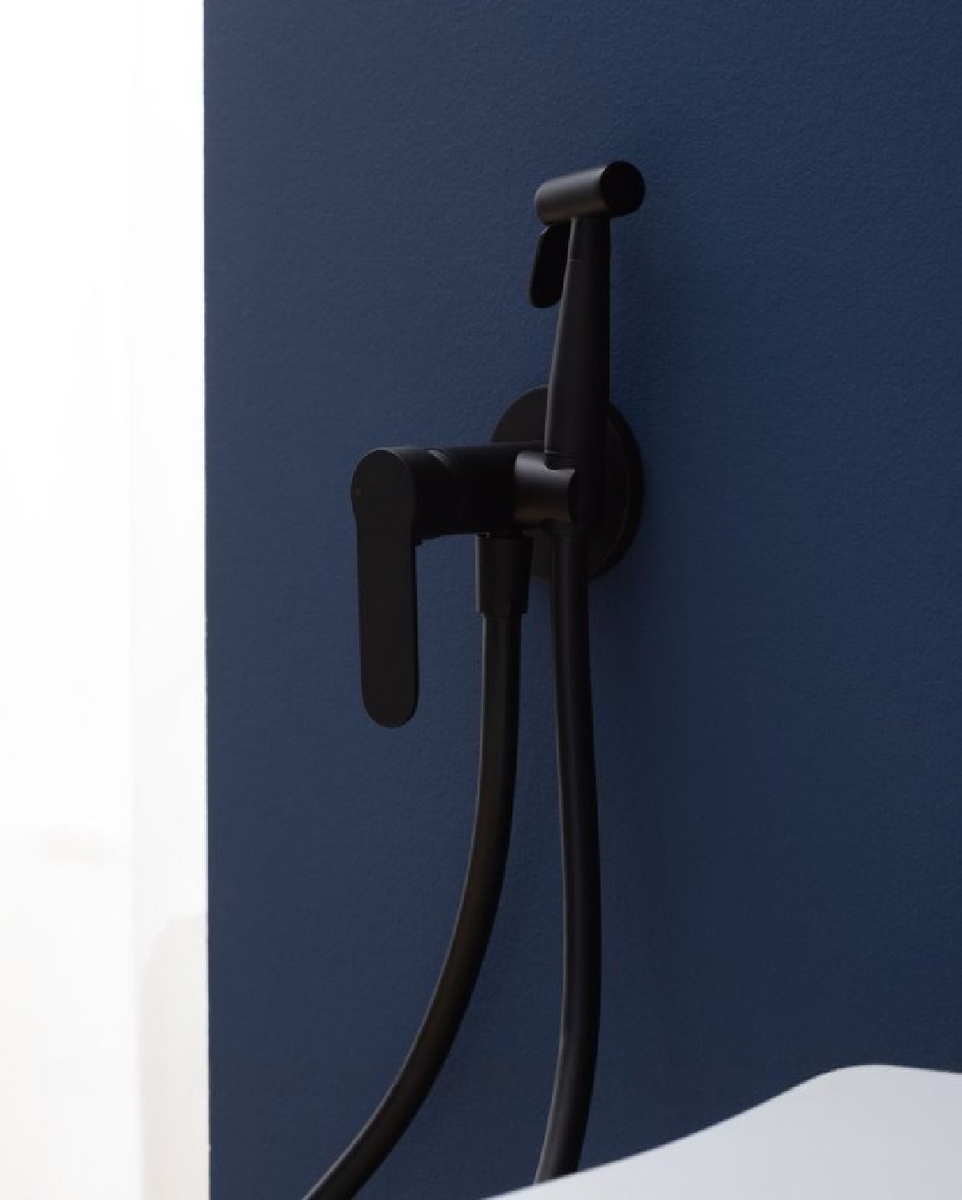 Смеситель с гигиеническим душем Aquanet Passion AF300-52B (с внутренней частью) в Москве