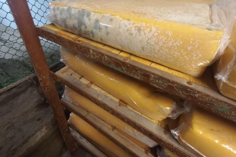    Уральское межрегиональное управление Россельхознадзора. Сыр с плесенью, обнаруженный на складе предприятия