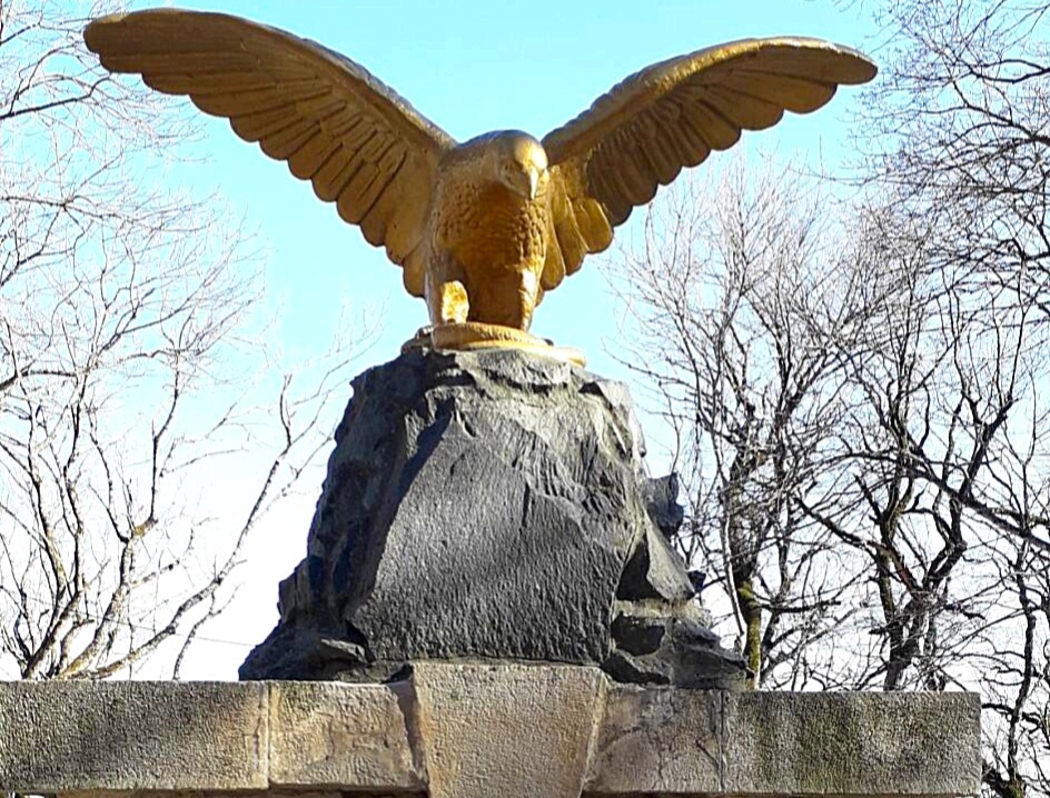 Фото автора.