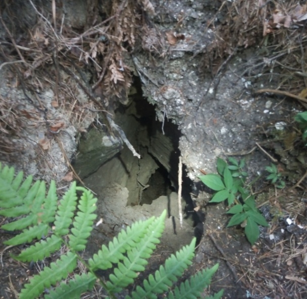 Вход в пещеру