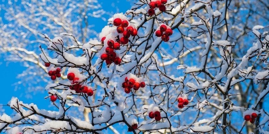    Алёна Бобрович