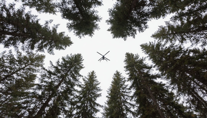 Фото: коллаж Царьграда