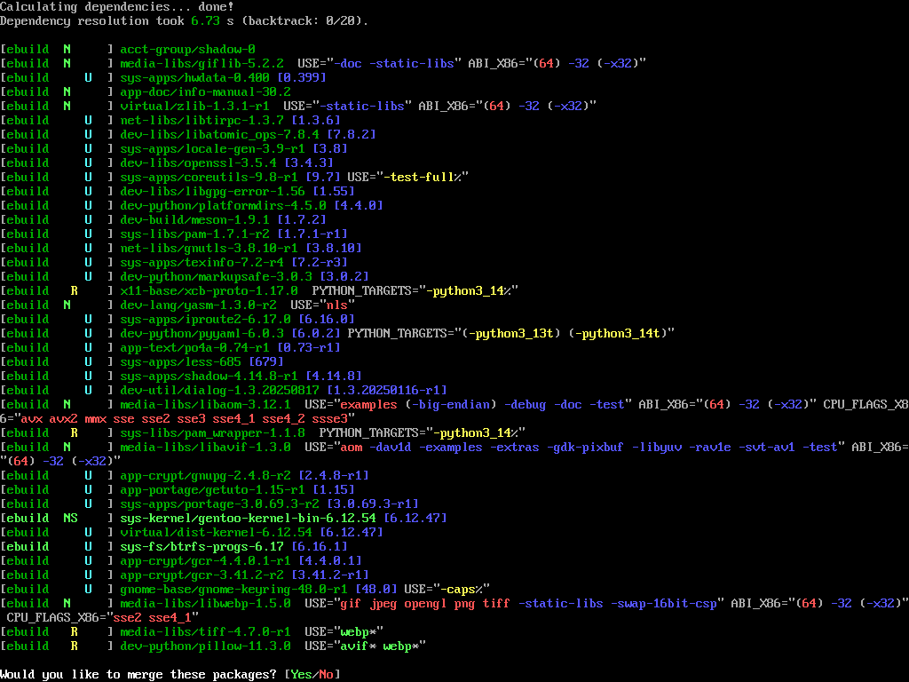 команда sudo emerge --ask --update --deep --newuse @world