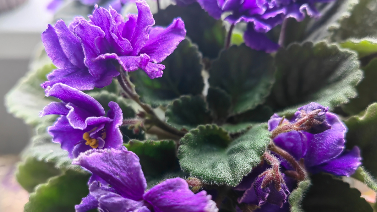 Результат моего эксперимента