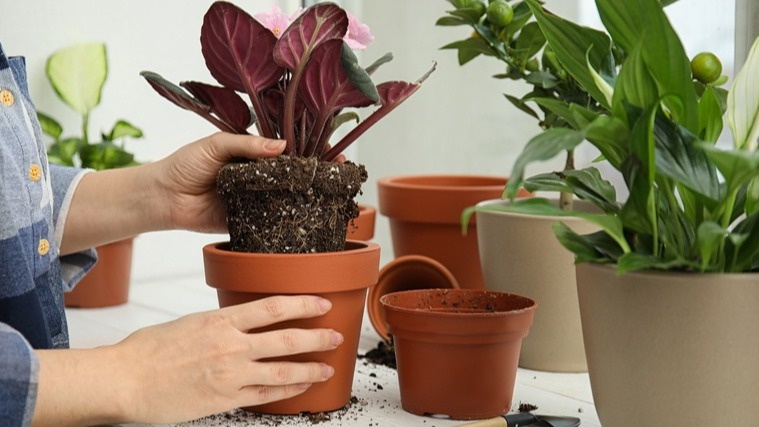 Отказ от частых пересадок