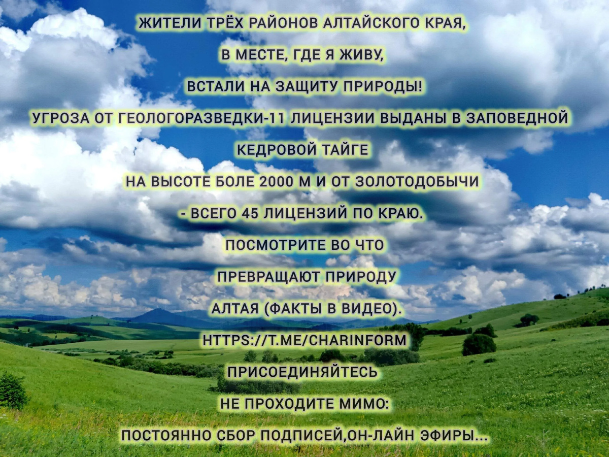 Это все из материалов, собранных Екатериной Верюгиной из Чарыша. Какая там природа! Вот мы (я, родня, друзья...) выросли в такой красоте горной и нам, назовем нас горцами, всегда было довольно трудно приживаться на равнине. Знаю многих одноклассников и друзей, которые уехали оттуда только потому, что там сегодня нет (не стало!!!) возможности ДОЖИТЬ НОРМАЛЬНО. Медицина, образование, снабжение - всё в минусе. Всё банкротят там нарочно и людей оттуда выдавливают под шумок трудностей нарочно. Как бы не мы, а обстоятельства... Зачищается в общем, от людей, эта прекраснейшая территория.