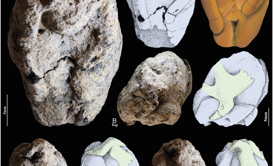 Прекрасная находка возрастом 12 тысяч лет - птица, спаривающаяся с женщиной