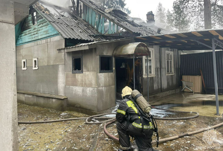фото: МЧС России по Ленобласти